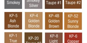 KP Pigments Micro PMU - Eyebrow Tones